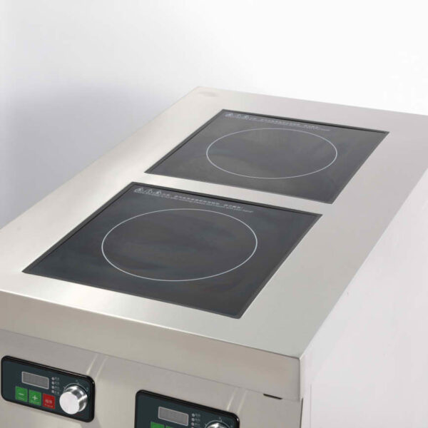 1S5A1062.1 Induction Cabinet Type Double-head Casserole Oven